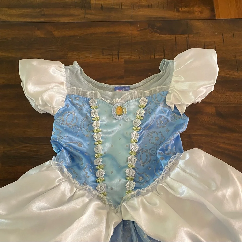 Disney Cinderella Costume